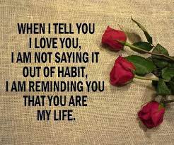pin by tiniquea on love you are my life told you so sayings