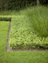 Hardscaping 101 Metal Landscape Edging Metal Landscape Edging Landscape Edging Steel Garden Edging