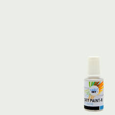 Image result for Blanc Antarctique 2011 Citroen