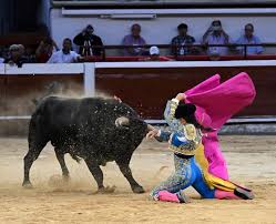 Cali: Colombia Tiene Madera | Voy a Los Toros