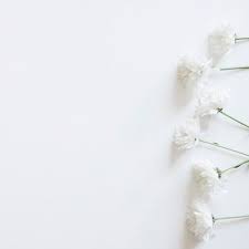 春のために右に白い花 壁紙のアイデア 花 イラスト おしゃれな壁紙背景