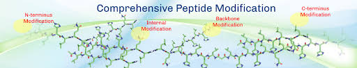 In the broad sense, biohacking is a movement devoted to a kind of diy science. Peptide Modifications Modified Peptide Synthesis Bio Synthesis