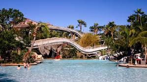 We did not find results for: Typhoon Lagoon Water Park Swim With The Fish Al S Blog