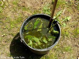 brandnetelgier netelgier vloeibare mest tuinieren tips groenten kweken moestuin
