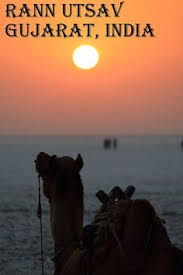 Homefew lines on camel5 lines on camel | few lines on camel. 21 Gujarat Ideas Gujarat Gujarati Recipes Gujarati Cuisine