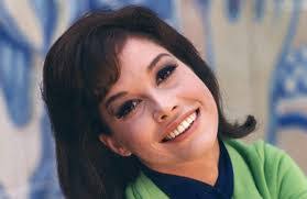 Shannon Bolin's Instagram, Twitter & Facebook