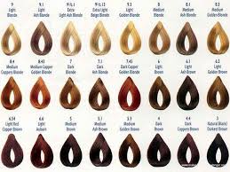 image result for wella hair color chart brown hair colors