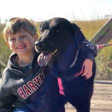 Products for every animal lover. Adore Pet Rescue Orlando Petslover