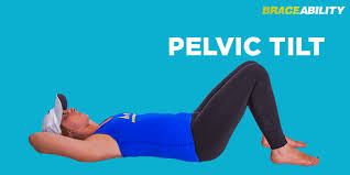 Pin On Backpain Solution