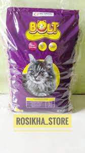 Hal ini terutama pada makanan. Pakan Kucing Murah Pakan Kucing Bolt Pakan Kucing Anggora Pakan Kucing Makanan Kucing Makanan Kucing Murah Lazada Indonesia