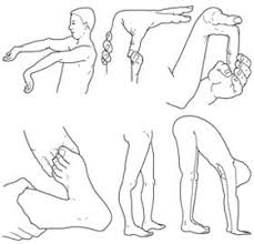 As the single most abundant protein in the human body, collagen is well known for being a major component of. Om Eds Norsk Forening For Ehlers Danlos Syndrom