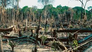 La deforestación o desforestación es un proceso provocado por la acción de los humanos, en el que se destruye o agota la superficie forestal, generalmente con el objetivo de destinar el suelo a otra actividad. Cuales Son Los Paises Mas Deforestados Del Mundo Y Cuantos Estan En America Latina Bbc News Mundo