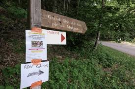 Des restes humains ont été découverts, correspondant à la description de gabrielle gabby petito », l'américaine disparue, a annoncé le fbi . Le Recap De L Actu Le Proces Douloureux Du Meurtre D Adrien Perez Des Ossements Relancent L Affaire Des Disparus De Boscodon Les Faits Divers Qui Ont Marque La Semaine