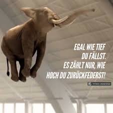Egal Wie Tief Du Fallst Witzige Spruche Spruche Zitate Leben Spruche