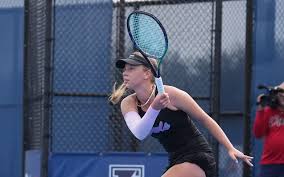 Image result for Emilia libeniana