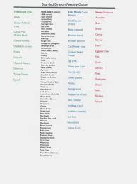 Ferret Food Chart Gallery Of Chart 2019