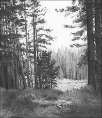 Female artist sketchbook, drawings, landscapes. Landscapes Graphite Pencil Drawings By Diane Wright In 2020 Landscape Drawings Landscape Pencil Drawings Pencil Drawings