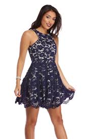 Sonia Navy Lace Skater Dress Lace Skater Dress Dresses Skater Dress