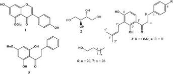 Image result for Eriosema montanum