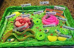 20 Plant Cell Model Ideas Your Students Find Them Interesting Plant Cell Model Plant Cell Project Edible Cell Project