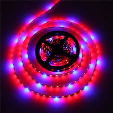 Led strip grow lights canada. Meteoras Sada SkaitmenÅ³ Led Strip Grow Lights Canada Mygiftedoilers Com