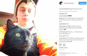 Deux expertes reconnues dans le monde animalier : Norman A Un Nouveau Chat Merlin Et Il Est Craquant Tele Star