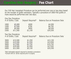 fue hair transplant costs in charlotte nc and charleston