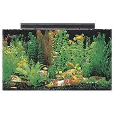 Check spelling or type a new query. 8 Best 50 55 Gallon Fish Tanks And Aquarium Kits To Buy In 2021 Review