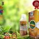 toko herbal karawang dari m.bukalapak.com