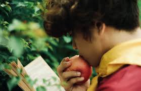 These books also reignite the love of reading that too often fades as children move toward their teen years, ensuring that your child continues to be an avid reader for years to come. 30 Books For Boys Aged 13 14 And 15 Raising Teenagers