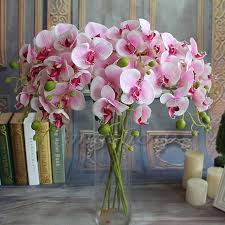 Wreaths & floral christmas decor halos, hair flowers & belts artificial bridesmaid bouquets silk floral boutonnieres & corsages cake toppers and floral decorations sale. 2017 Hot Sale 1pc 78cm Artificial Silk Flower Wedding Decor Phalaenopsis Butterfly Orchid Pot New Arrivals Silk Flowers Wedding Flower Weddingbutterfly Orchid Aliexpress