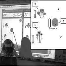 Pdf Applying An Activity Theory Lens To Designing Instruction For Learning About The Structure Behavior And Function Of A Honeybee System