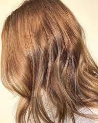 8 Light Blonde Light Blonde Hair Hair Beauty Level 8 Hair Color
