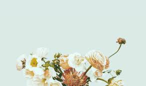 With partnerships with thousands of local florists, 1800flowers.com is able to provide fresh flowers, gift. Gisborne Cottage Flowers
