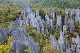Book your hotel in mulu online. Gunung Mulu Pinnacles Climb Photo Spot Marudi