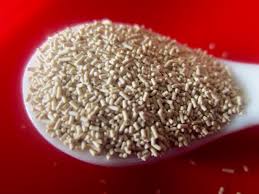 Check spelling or type a new query. Yeast Conversions My Favourite Pastime