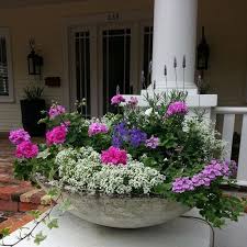 Tampa Container Gardening For Indoor And Outdoor Use Container Enbereich Gard Container Enbereich Gard Gardening Gardening Bepflanzung Pflanzideen