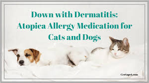 Down With Dermatitis Atopica Allergy Medication For Cats