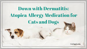 down with dermatitis atopica allergy medication for cats