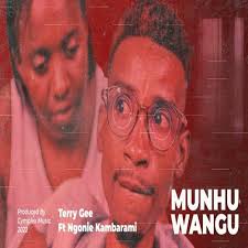 Terry Gee Ft. Ngonie Kambarami