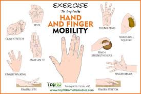 Exercises To Improve Hand And Finger Mobility Arthritis Exercises Hand Therapy Exercises Finger Exercises