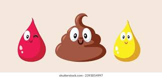 Image result for blood in stool human poop