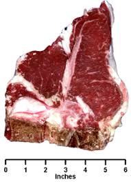 Beef Cattle Discovery Retail Cuts Loin T Bone Steak Animal Food Sciences ✓ free for commercial use ✓ high quality images. retail cuts loin t bone steak