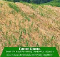 Amazon.com: Farm Plastic Supply - Manta de control de ...