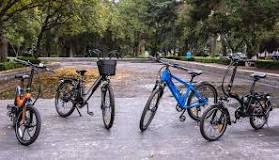 La guía definitiva para elegir la mejor marca de bicicletas ...