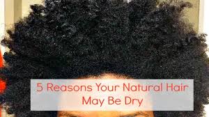 ***** please subscribe, like, and rate *****like many naturals, i struggle day to day with my ends. This Is Why Your Natural Hair Is So Dry Naturallycurly Com