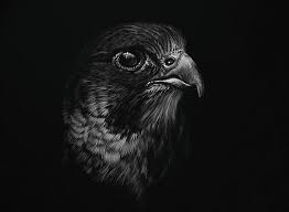 Dessin Animaux Noir Blanc Richard Symonds 3 Olybop Art Scratchboard Crayon Blanc Dessin Noir Et Blanc