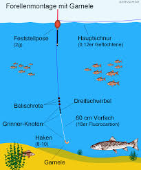 Verwende ruhig diese kleineren wobbler. Angeln Mit Garnelen Simfisch De Angeln Und Outdoor