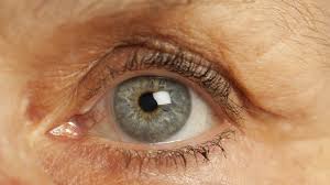 Glokom Goz Tansiyonu Damlasi Cesitleri Ve Kullanim Sartlari