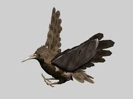 Bird Rig Animation 3d Model Cadnav In 2020 3d Model Animation Model